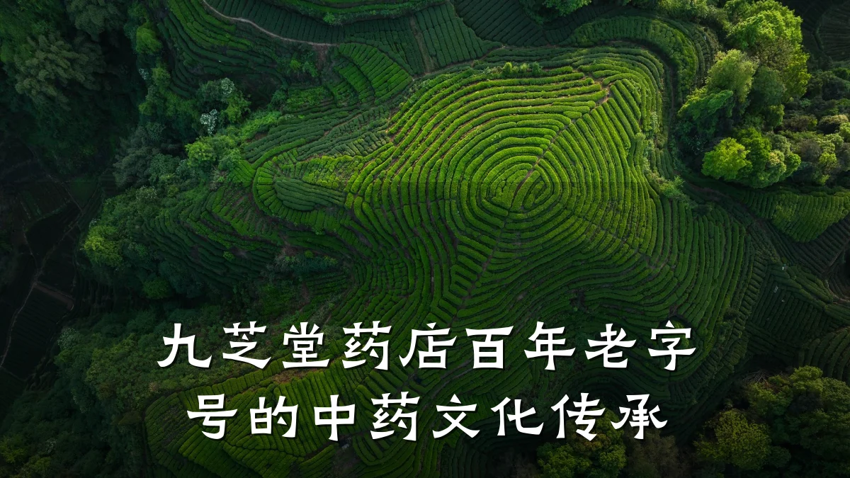 九芝堂药店百年老字号的中药文化传承