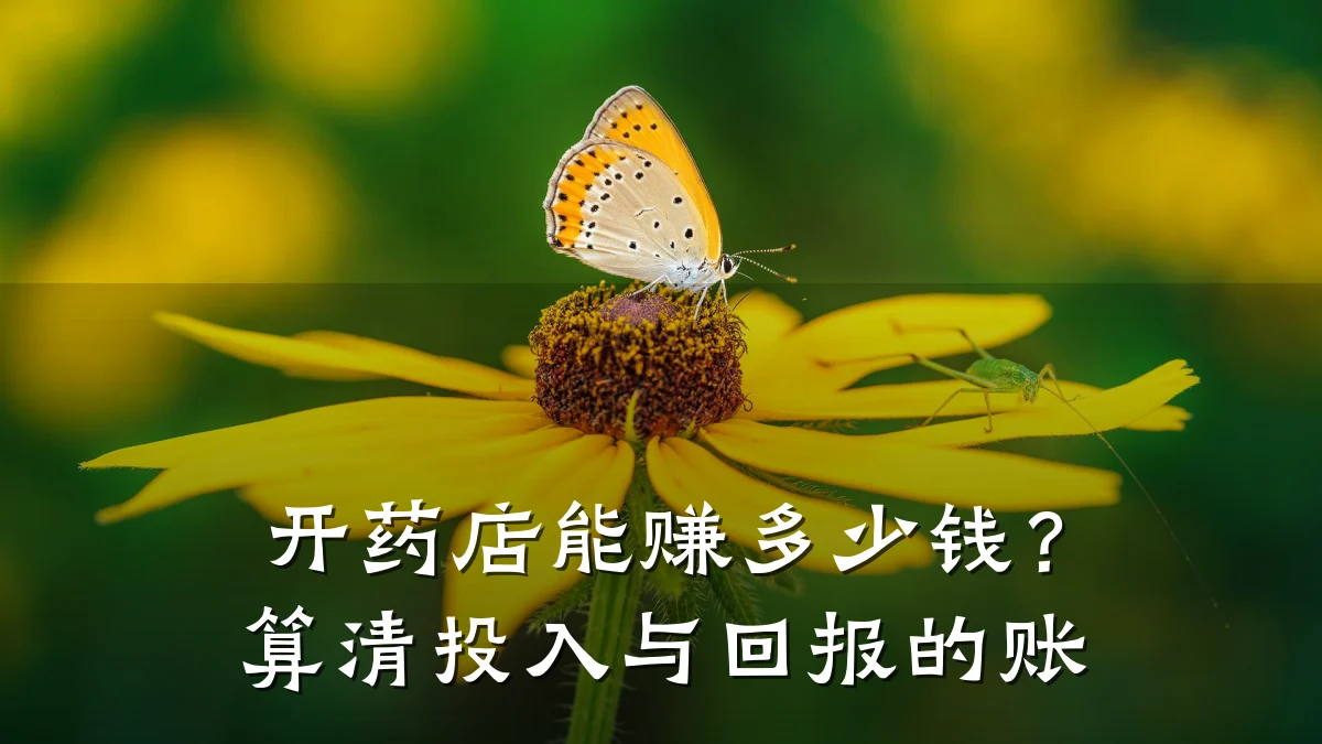 开药店能赚多少钱?算清投入与回报的账