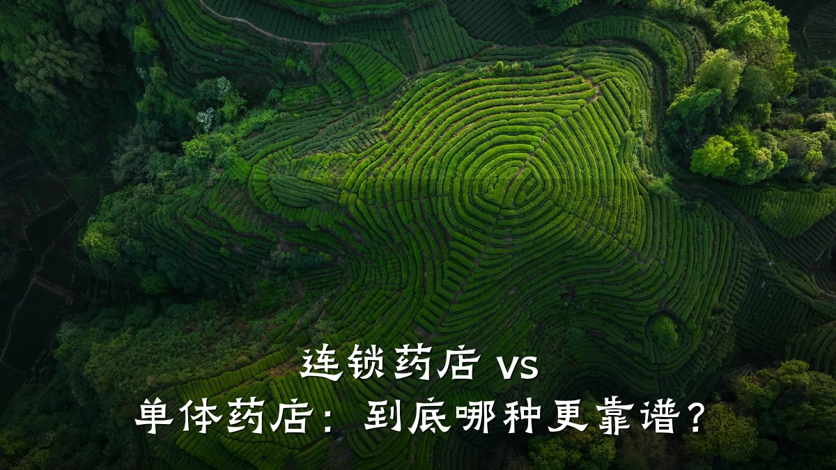 连锁药店 vs 单体药店：到底哪种更靠谱？
