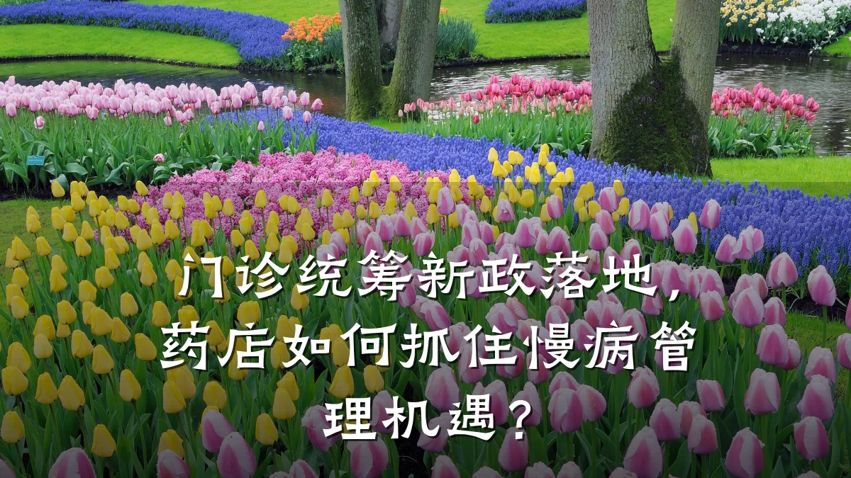 门诊统筹新政落地,药店如何抓住慢病管理机遇?