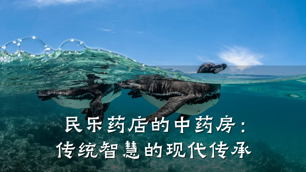 民乐药店的中药房:传统智慧的现代传承