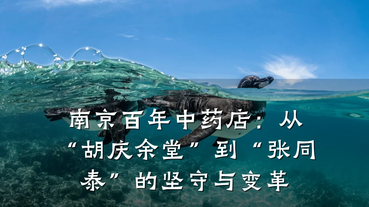 南京百年中药店:从“胡庆余堂”到“张同泰”的坚守与变革