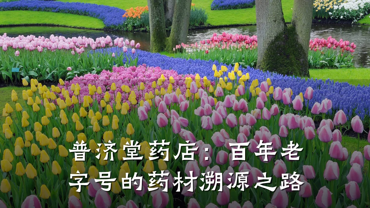 普济堂药店:百年老字号的药材溯源之路