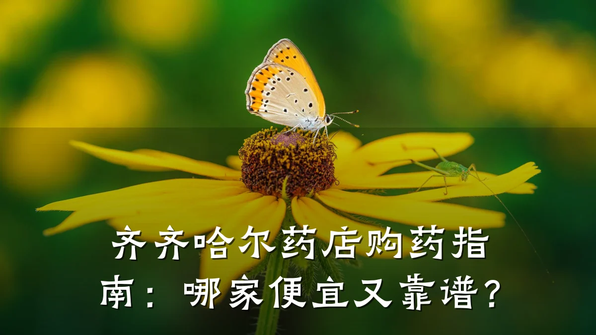 齐齐哈尔药店购药指南:哪家便宜又靠谱?