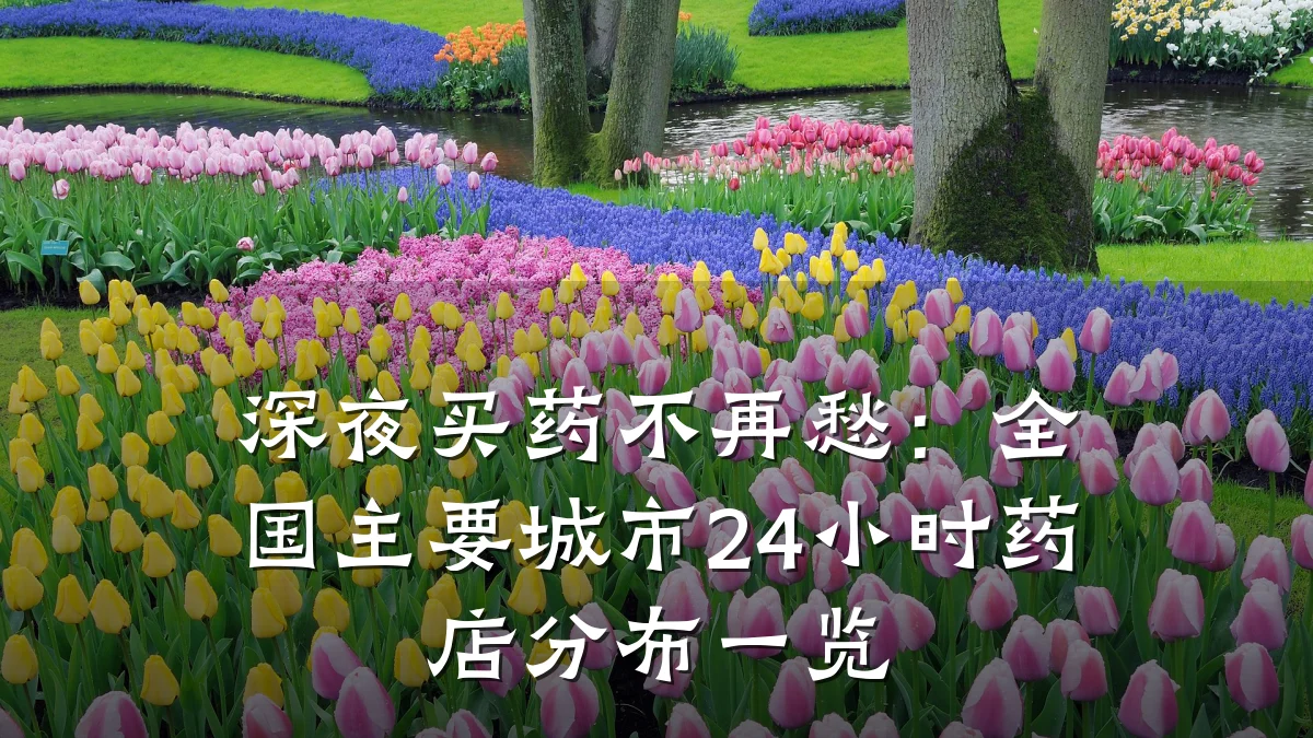 深夜买药不再愁：全国主要城市24小时药店分布一览