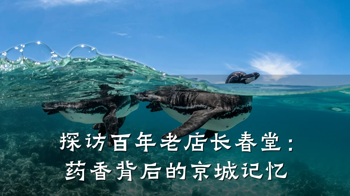 探访百年老店长春堂:药香背后的京城记忆