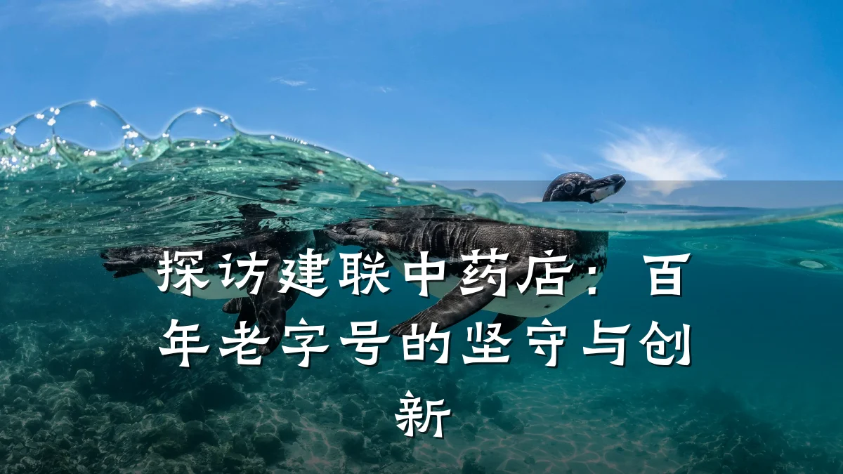 探访建联中药店:百年老字号的坚守与创新