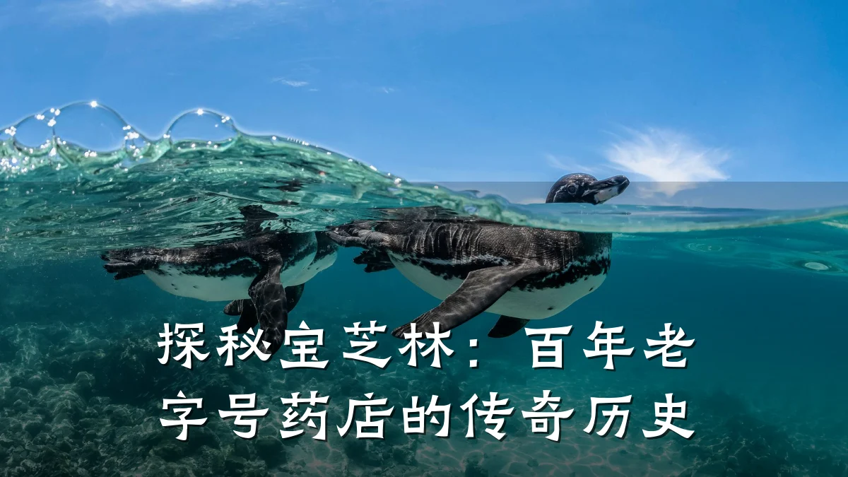 探秘宝芝林：百年老字号药店的传奇历史
