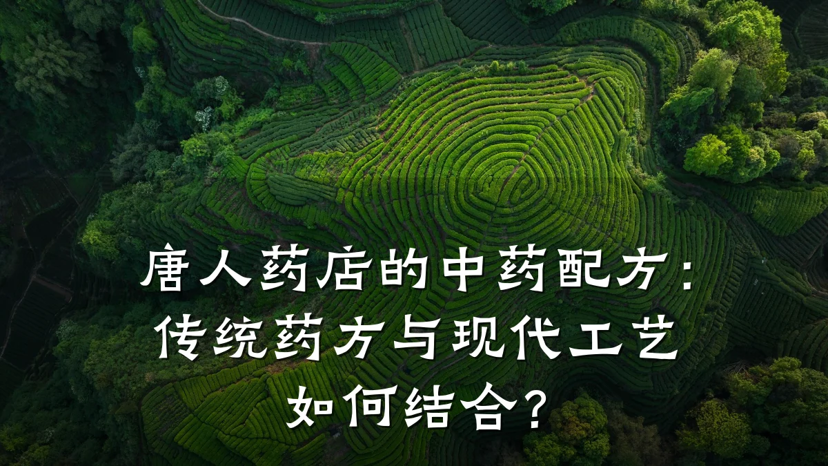 唐人药店的中药配方:传统药方与现代工艺如何结合?