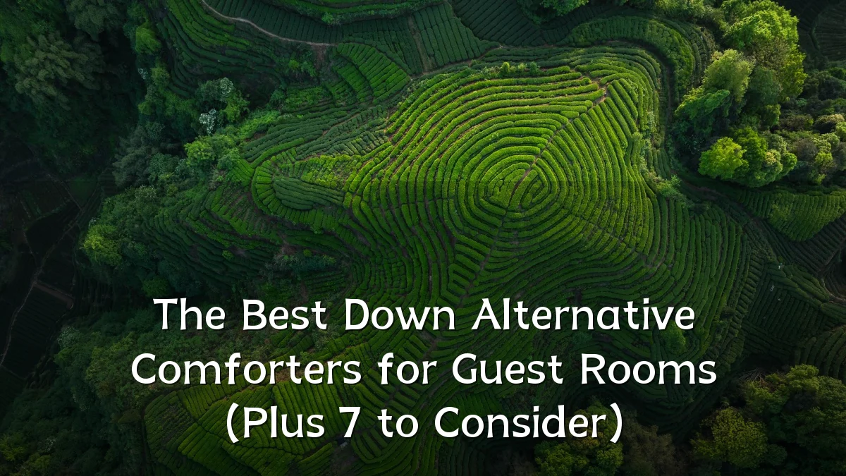 The Best Down Alternative Comforters for Guest Rooms (Plus 7 to Consider)