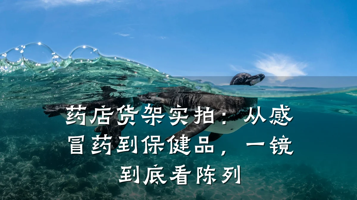 药店货架实拍:从感冒药到保健品,一镜到底看陈列
