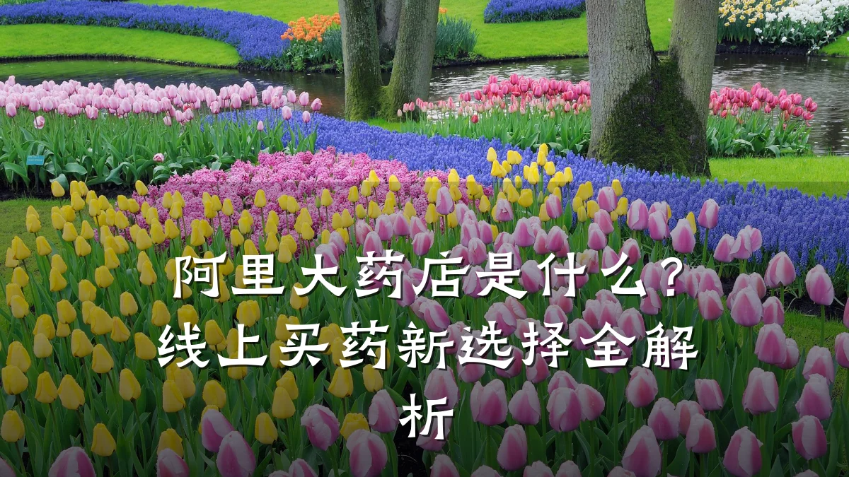 阿里大药店是什么?线上买药新选择全解析