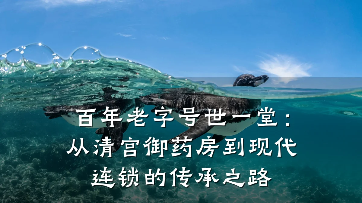 百年老字号世一堂:从清宫御药房到现代连锁的传承之路