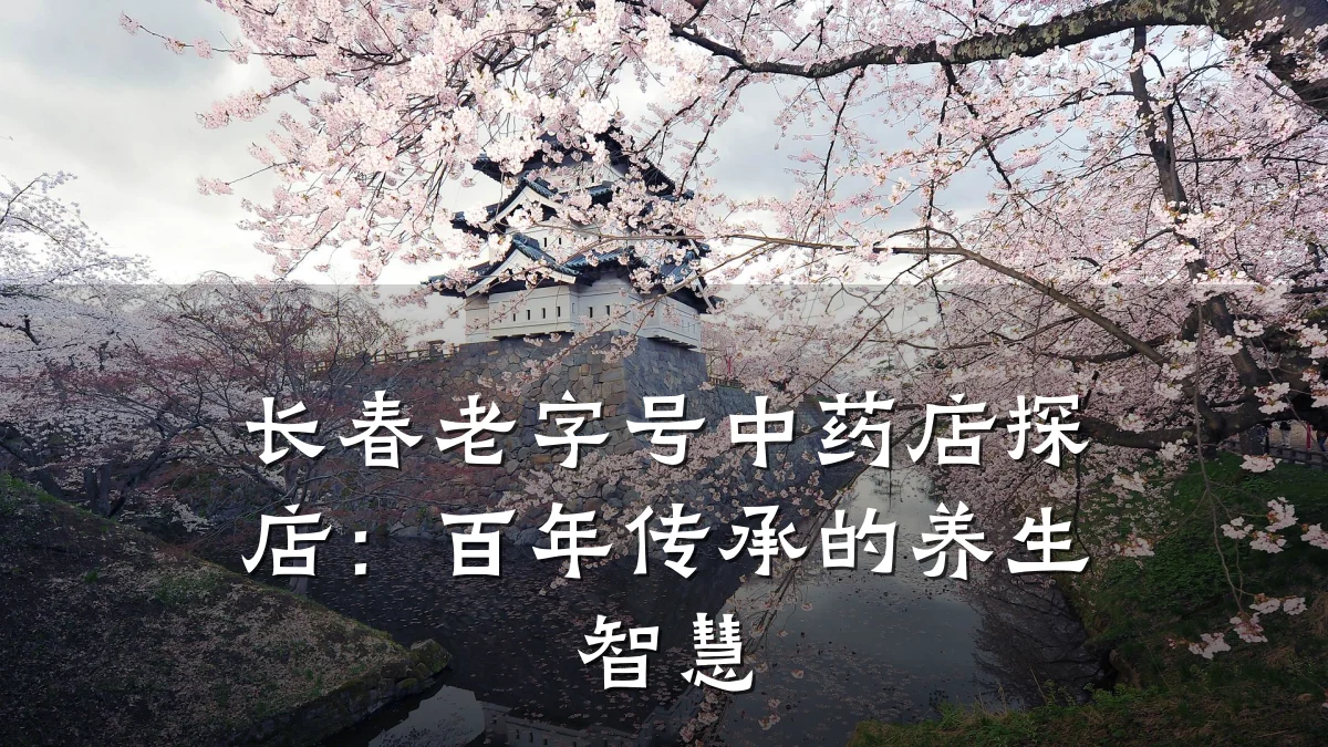 长春老字号中药店探店:百年传承的养生智慧