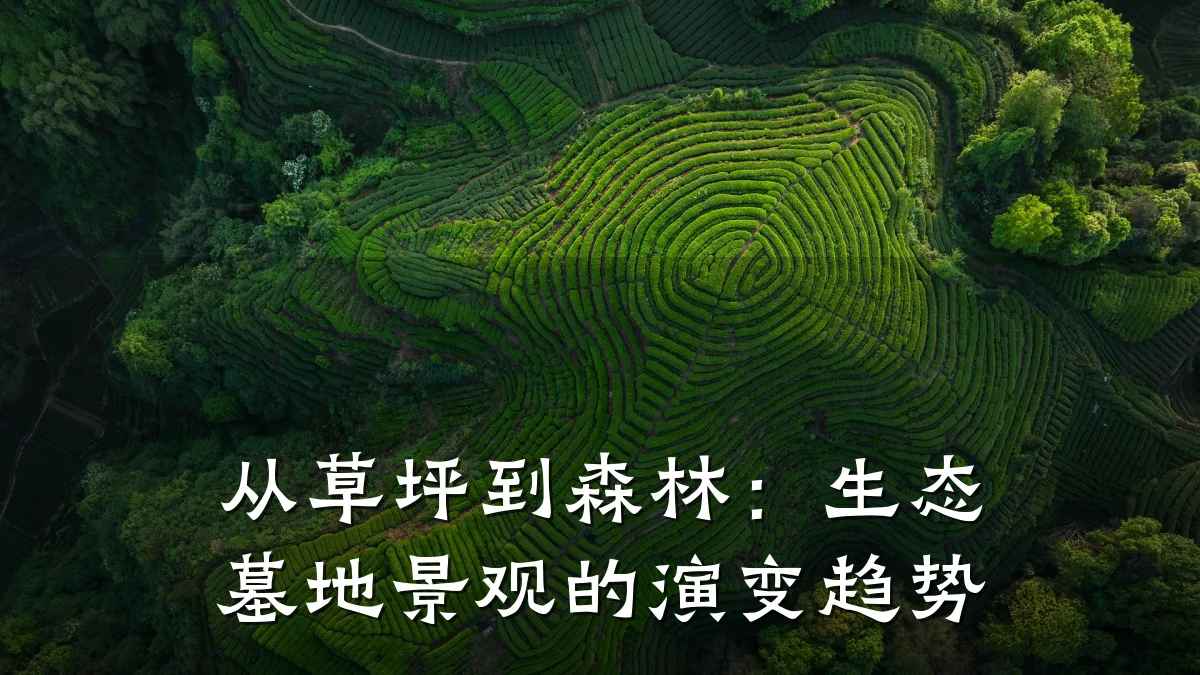 从草坪到森林:生态墓地景观的演变趋势
