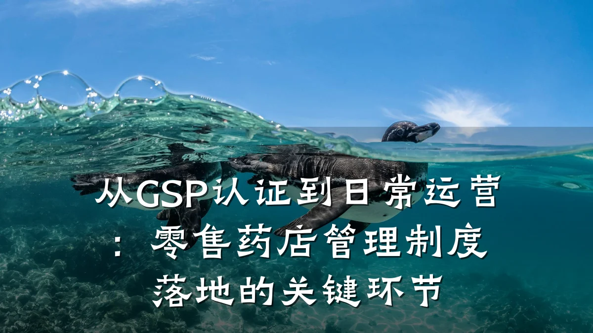 从GSP认证到日常运营:零售药店管理制度落地的关键环节