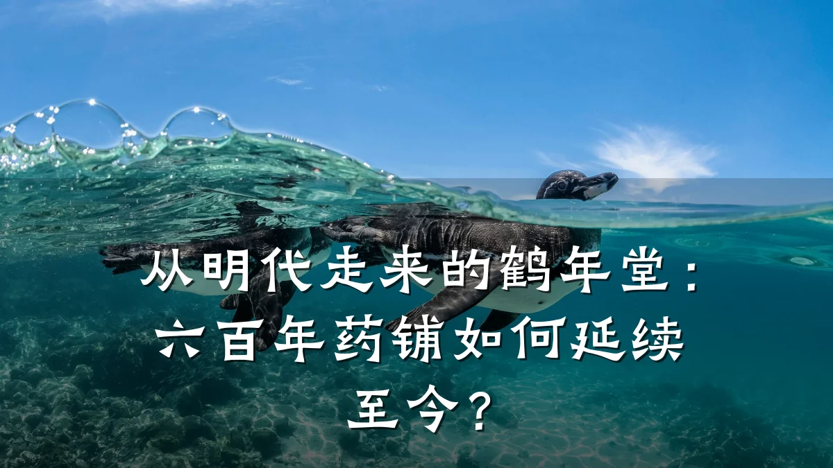 从明代走来的鹤年堂:六百年药铺如何延续至今?