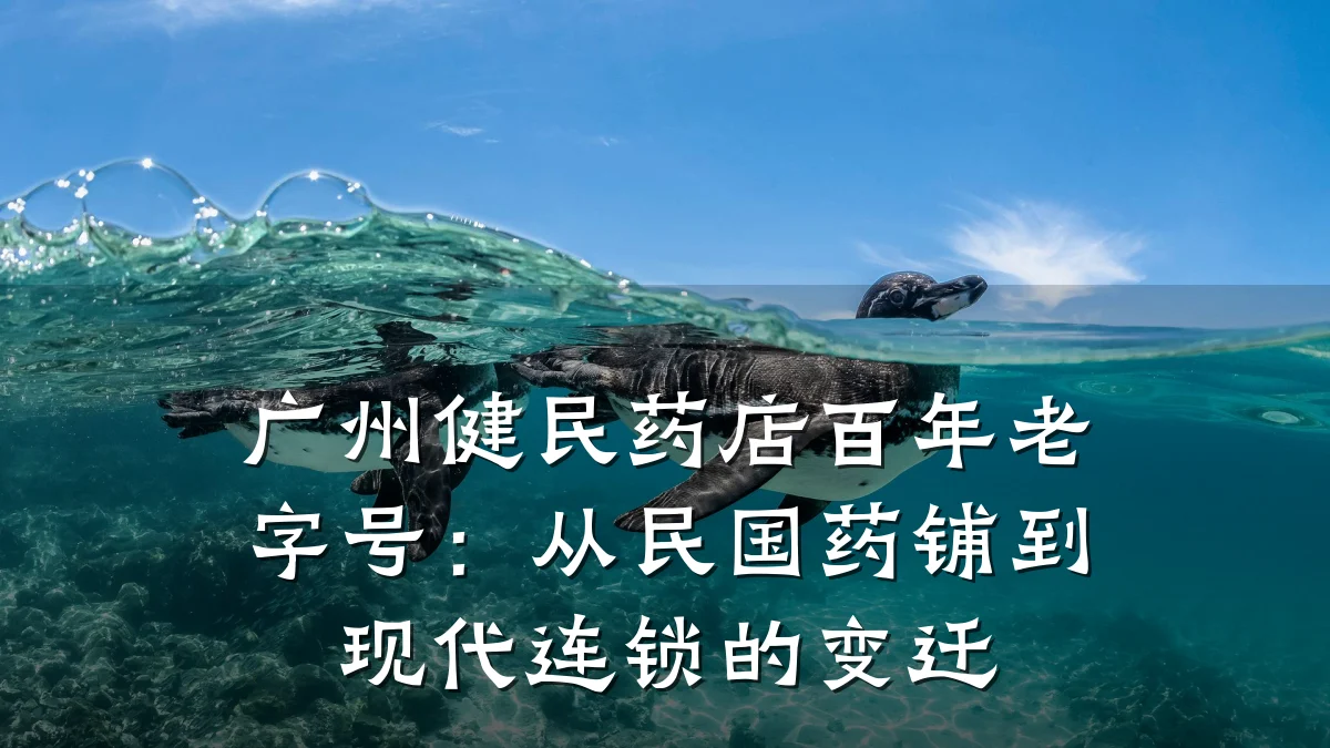 广州健民药店百年老字号:从民国药铺到现代连锁的变迁