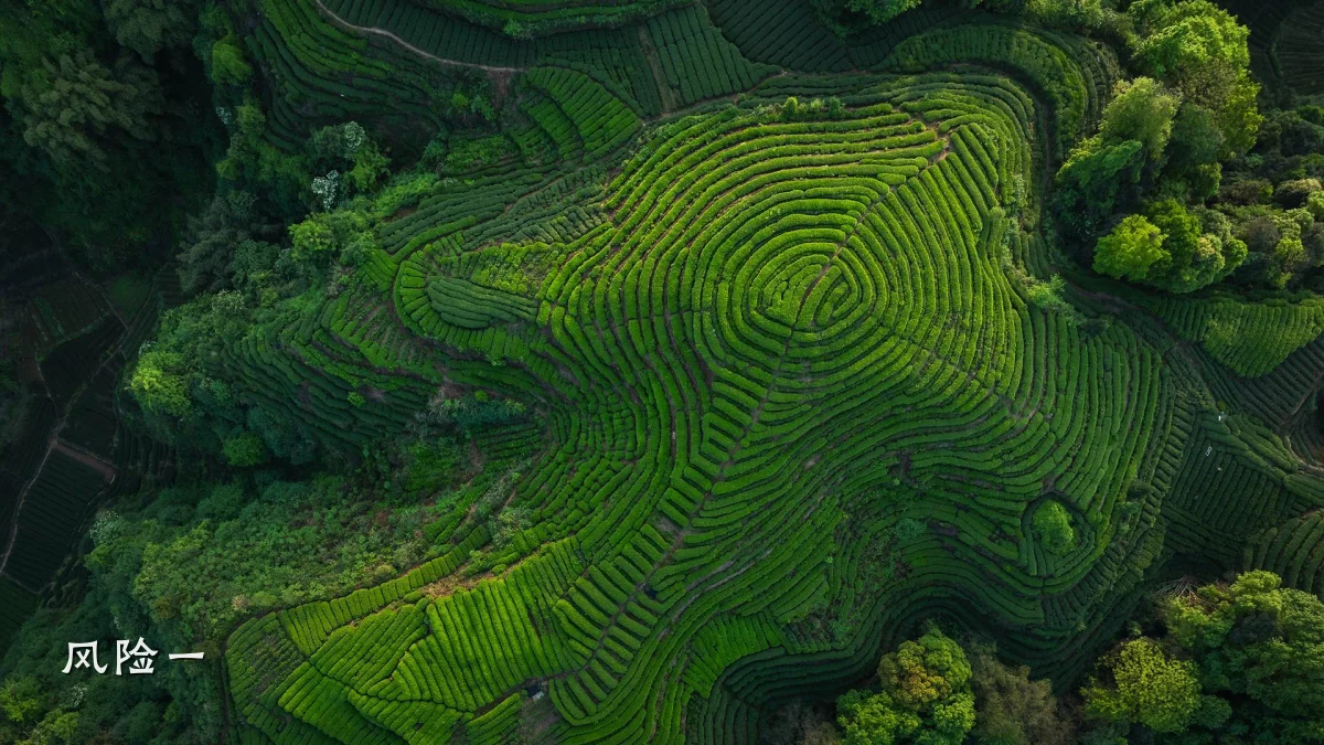 风险一