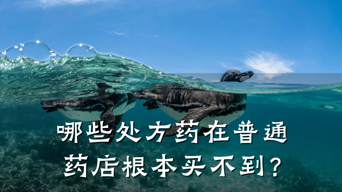 哪些处方药在普通药店根本买不到?