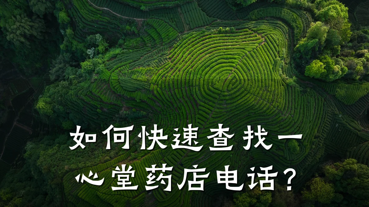 如何快速查找一心堂药店电话？
