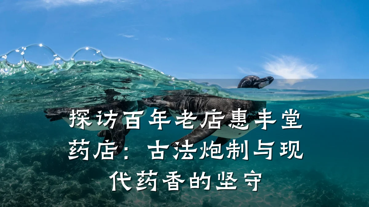 探访百年老店惠丰堂药店:古法炮制与现代药香的坚守