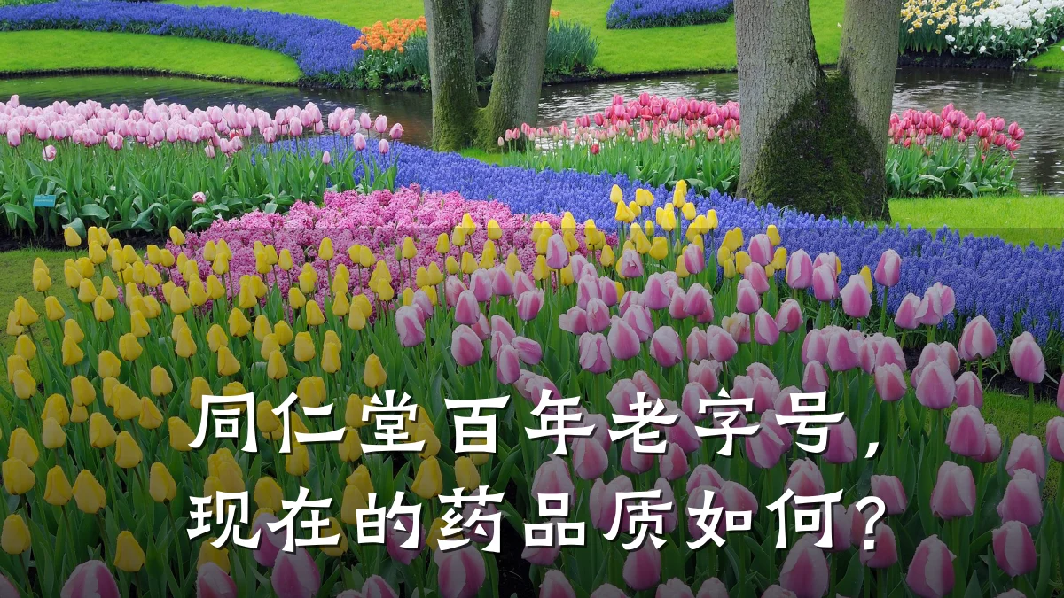 同仁堂百年老字号，现在的药品质如何？