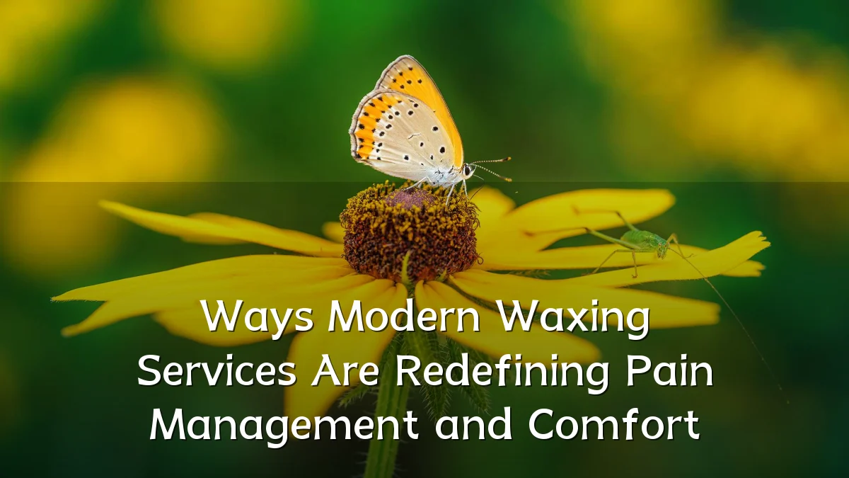 Ways Modern Waxing Services Are Redefining Pain Management and Comfort