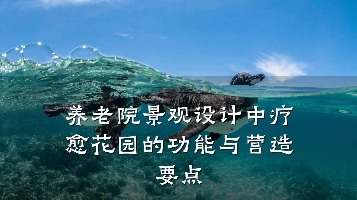 养老院景观设计中疗愈花园的功能与营造要点