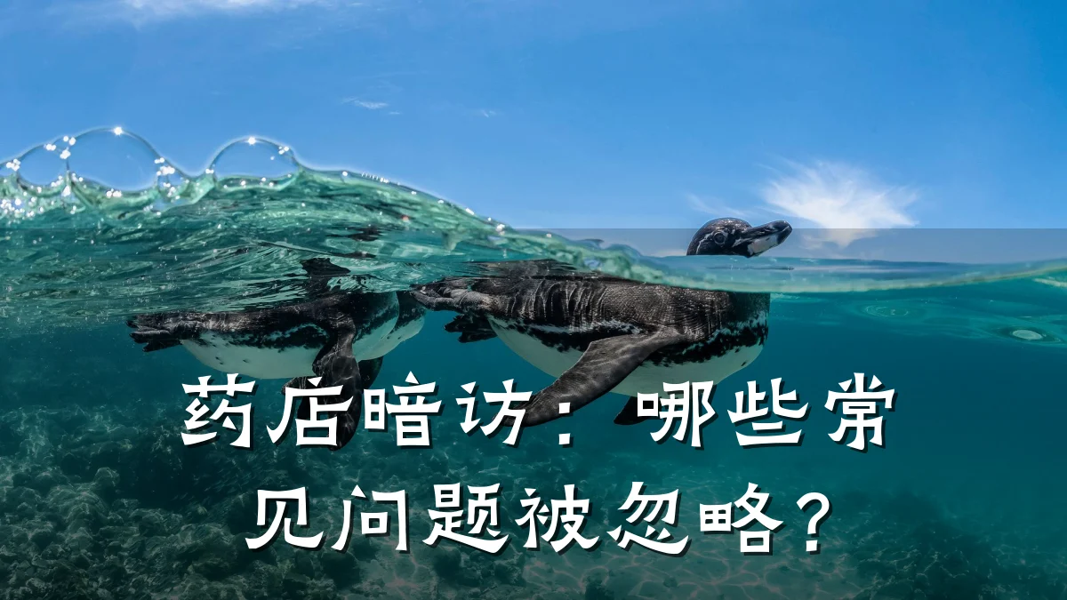 药店暗访：哪些常见问题被忽略？