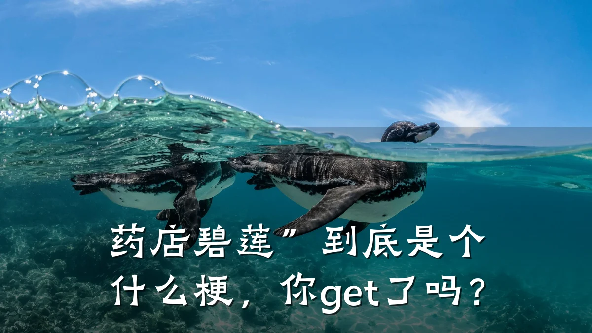 药店碧莲”到底是个什么梗,你get了吗?
