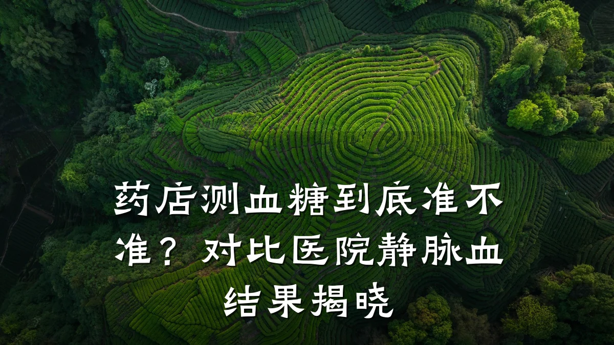 药店测血糖到底准不准?对比医院静脉血结果揭晓