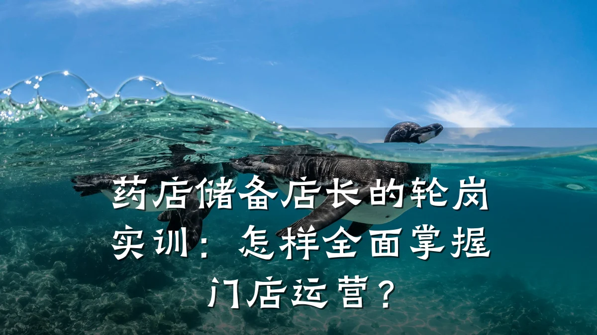 药店储备店长的轮岗实训:怎样全面掌握门店运营?