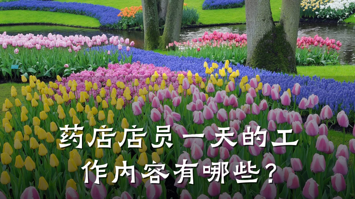 药店店员一天的工作内容有哪些?