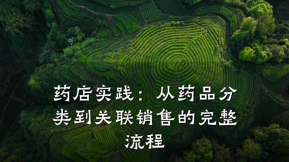 药店实践:从药品分类到关联销售的完整流程