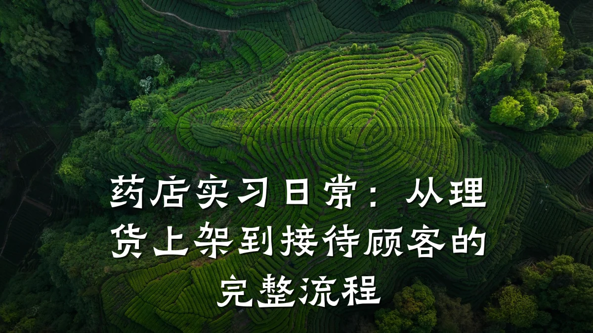 药店实习日常:从理货上架到接待顾客的完整流程