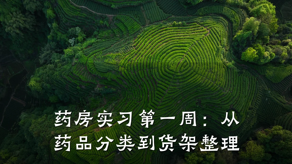 药房实习第一周:从药品分类到货架整理