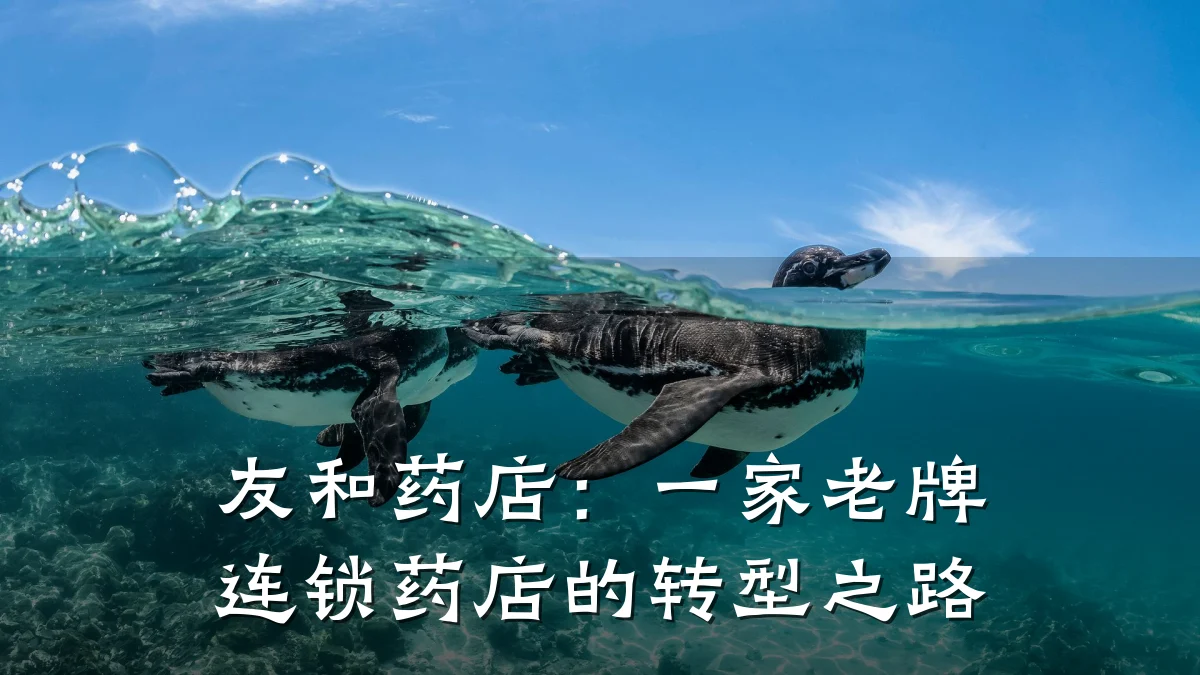 友和药店:一家老牌连锁药店的转型之路