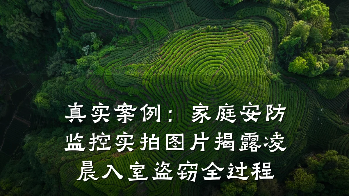 真实案例：家庭安防监控实拍图片揭露凌晨入室盗窃全过程
