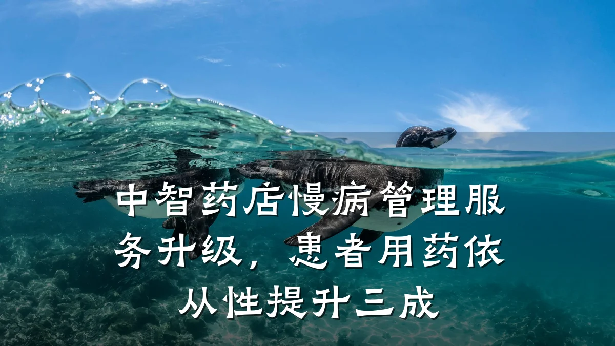 中智药店慢病管理服务升级,患者用药依从性提升三成