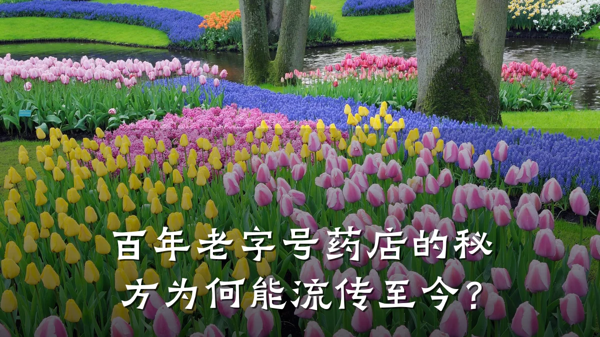 百年老字号药店的秘方为何能流传至今?