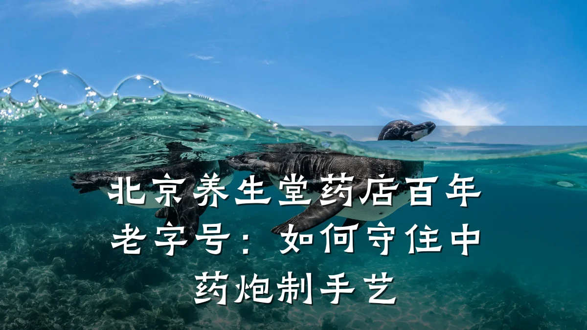 北京养生堂药店百年老字号:如何守住中药炮制手艺