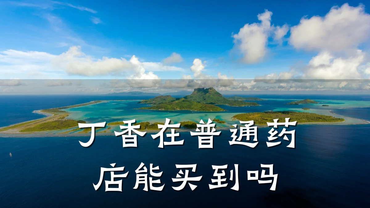 丁香在普通药店能买到吗