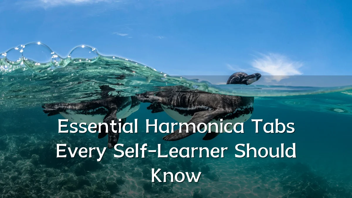 Essential Harmonica Tabs Every Self-Learner Should Know