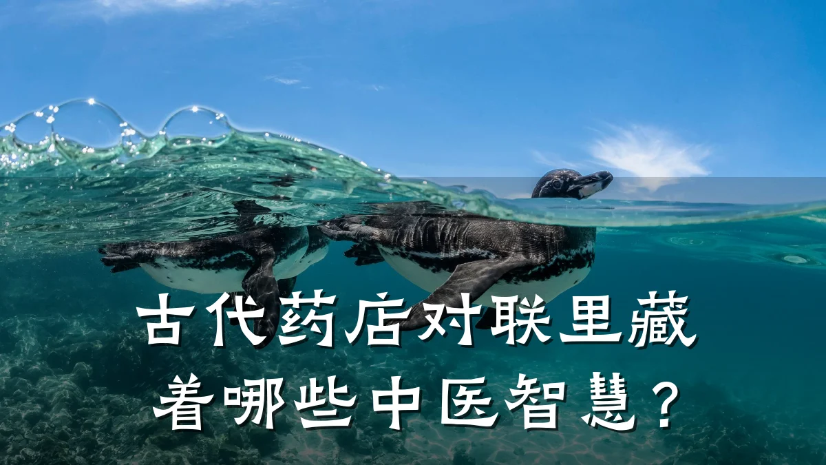 古代药店对联里藏着哪些中医智慧?