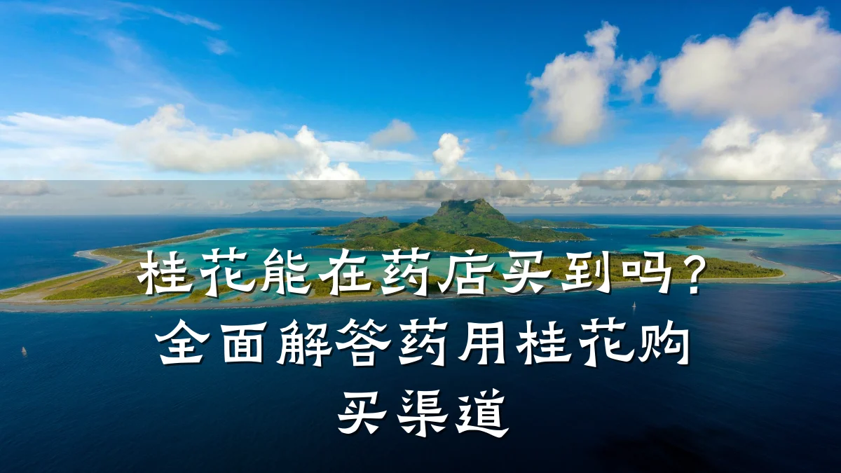 桂花能在药店买到吗?全面解答药用桂花购买渠道