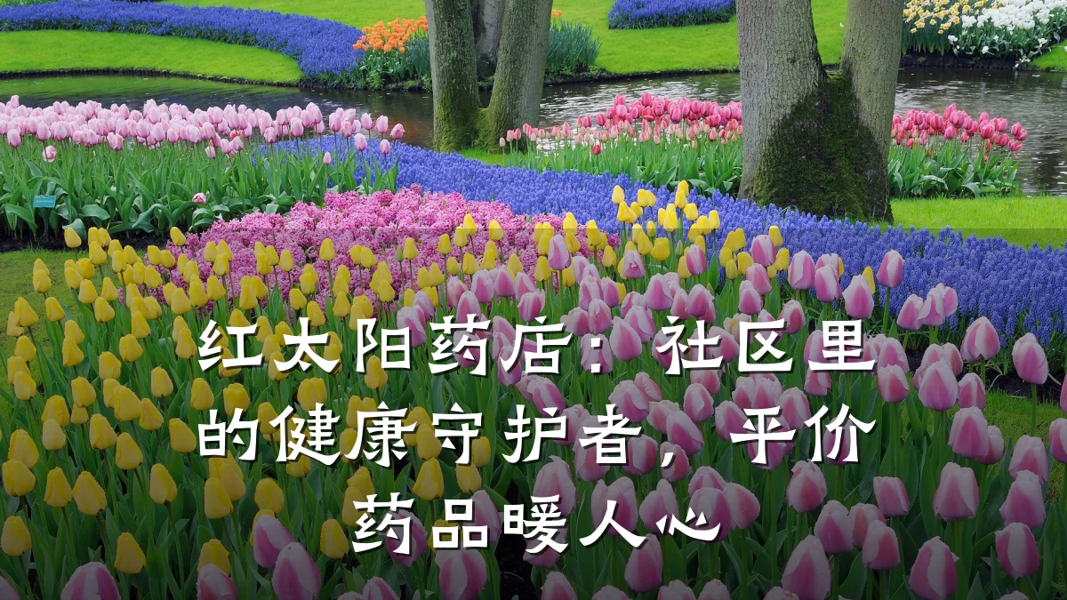 红太阳药店:社区里的健康守护者,平价药品暖人心