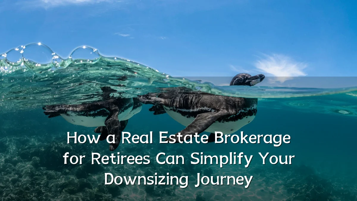 How a Real Estate Brokerage for Retirees Can Simplify Your Downsizing Journey