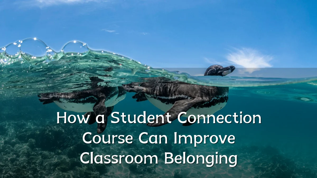 How a Student Connection Course Can Improve Classroom Belonging