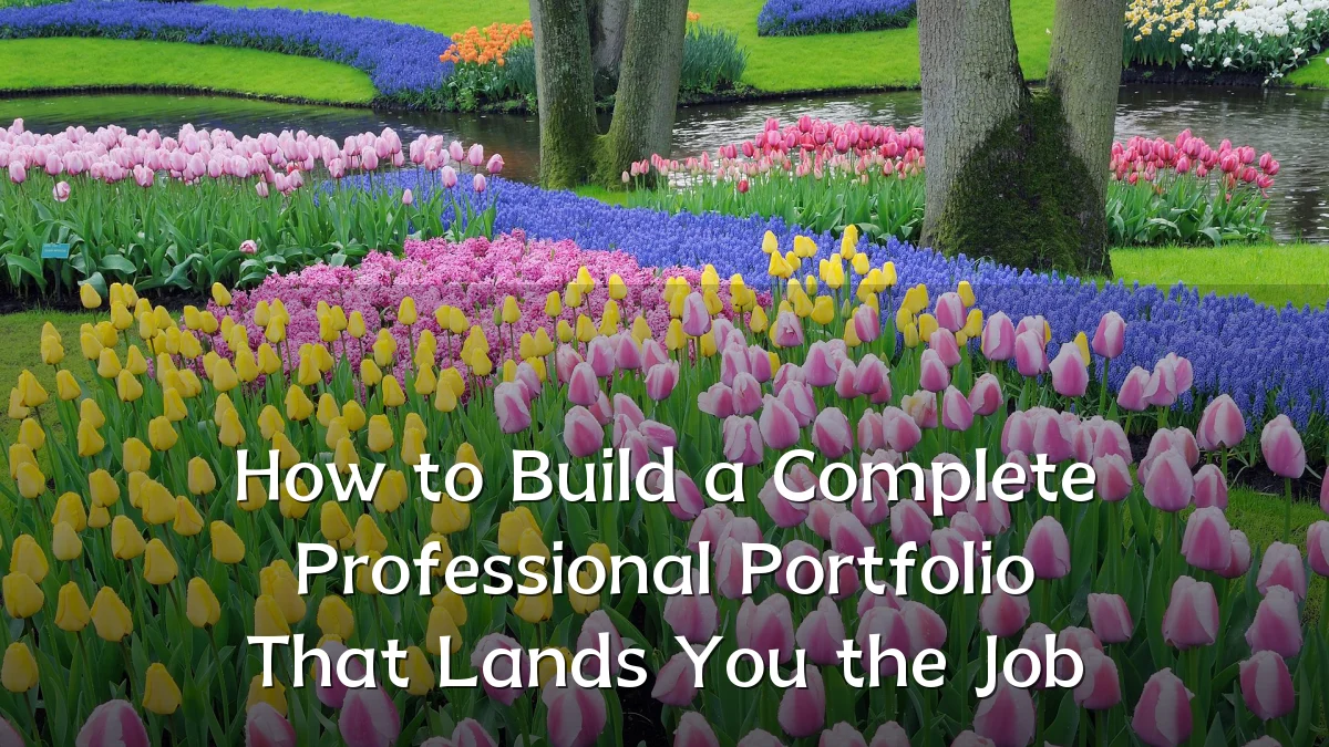 How to Build a Complete Professional Portfolio That Lands You the Job